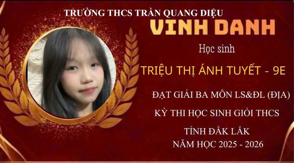 Ảnh 12